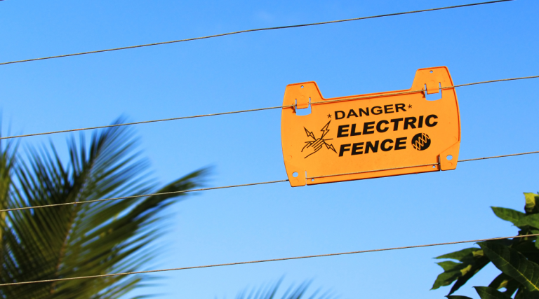 Electric-Fence-1